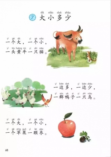 Image:215 1.webp.jpg